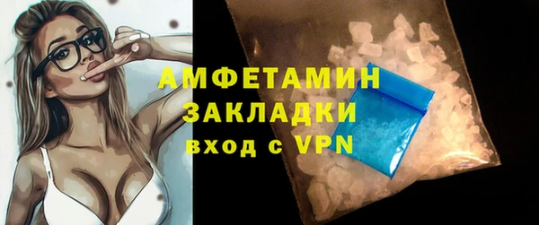 шишки Коряжма