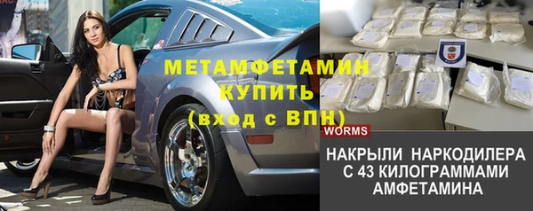 шишки Коряжма