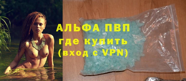 шишки Коряжма