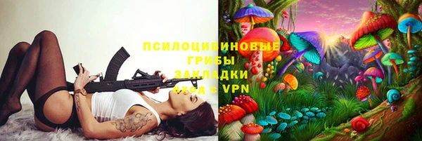 ГАЛЛЮЦИНОГЕННЫЕ ГРИБЫ Красноперекопск