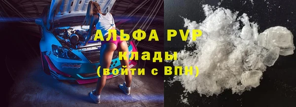 шишки Коряжма
