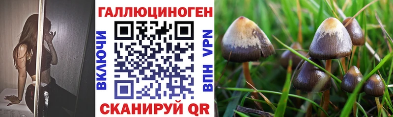 Галлюциногенные грибы прущие грибы Купить Курлово