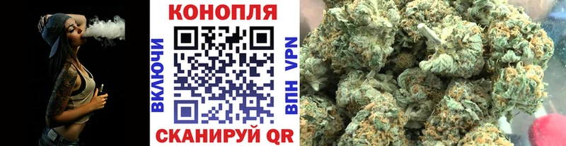 Купить где Курлово Бошки марихуана семена